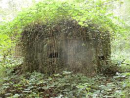 Ligne Maginot - BA9 - LAIE SYLVIE - (Blockhaus pour canon) - 