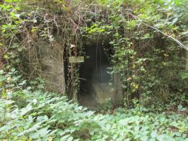 Ligne Maginot - BA9 - LAIE SYLVIE - (Blockhaus pour canon) - 