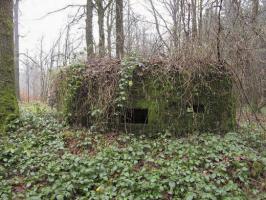 Ligne Maginot - BA13 - LAIE BLANCHE - (Blockhaus pour canon) - 