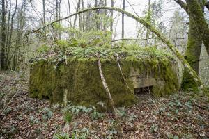 Ligne Maginot - BA21 - CHARME BEAUDET - (Blockhaus pour canon) - 