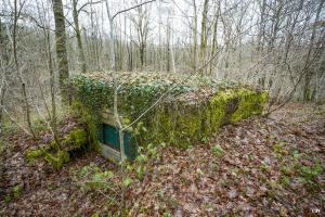 Ligne Maginot - BA24 - ROUTE DU MILIEU - (Blockhaus pour canon) - 