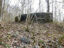 Ligne Maginot - BA24 - ROUTE DU MILIEU - (Blockhaus pour canon) - 