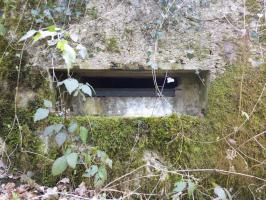 Ligne Maginot - BA24 - ROUTE DU MILIEU - (Blockhaus pour canon) - 