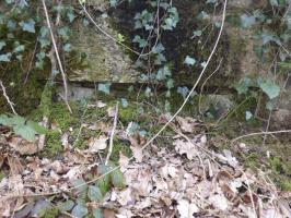 Ligne Maginot - BA24 - ROUTE DU MILIEU - (Blockhaus pour canon) - 