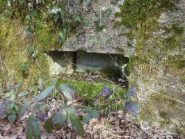 Ligne Maginot - BA24 - ROUTE DU MILIEU - (Blockhaus pour canon) - 