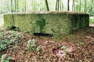 Ligne Maginot - BA25 - ISAIE OUEST - (Blockhaus pour canon) - 