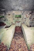 Ligne Maginot - BA25 - ISAIE OUEST - (Blockhaus pour canon) - 