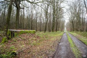 Ligne Maginot - BA25 - ISAIE OUEST - (Blockhaus pour canon) - 