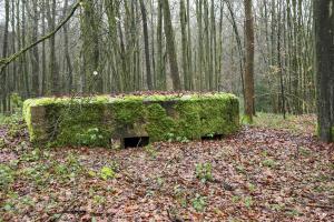 Ligne Maginot - BA25 - ISAIE OUEST - (Blockhaus pour canon) - 