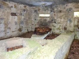 Ligne Maginot - BA25 - ISAIE OUEST - (Blockhaus pour canon) - 