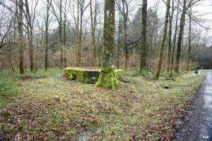 Ligne Maginot - BA26 - ISAIE EST - (Blockhaus pour canon) - 
