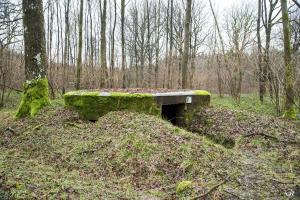 Ligne Maginot - BA26 - ISAIE EST - (Blockhaus pour canon) - 