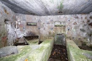 Ligne Maginot - BA26 - ISAIE EST - (Blockhaus pour canon) - 