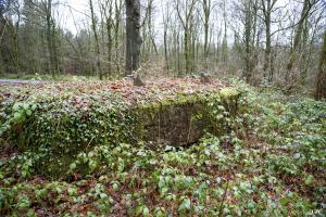 Ligne Maginot - BA29 - WATIGNY EST - (Blockhaus pour canon) - 