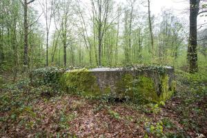 Ligne Maginot - BA30 - ROUTE DE CENDRON - (Blockhaus pour canon) - 