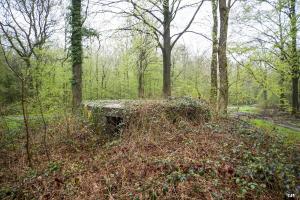 Ligne Maginot - BA30 - ROUTE DE CENDRON - (Blockhaus pour canon) - 