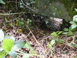 Ligne Maginot - BA30 - ROUTE DE CENDRON - (Blockhaus pour canon) - 