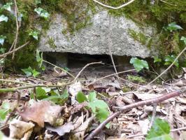 Ligne Maginot - BA30 - ROUTE DE CENDRON - (Blockhaus pour canon) - 