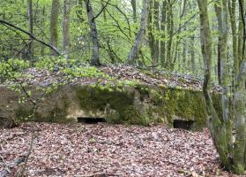 Ligne Maginot - BA31 - ROUTE DES LOGETTES - (Blockhaus pour canon) - 