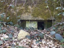 Ligne Maginot - BA31 - ROUTE DES LOGETTES - (Blockhaus pour canon) - 