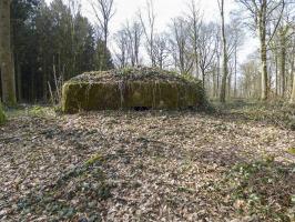 Ligne Maginot - BA31 - ROUTE DES LOGETTES - (Blockhaus pour canon) - 