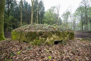 Ligne Maginot - BA31 - ROUTE DES LOGETTES - (Blockhaus pour canon) - 