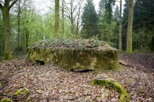 Ligne Maginot - BA31 - ROUTE DES LOGETTES - (Blockhaus pour canon) - 
