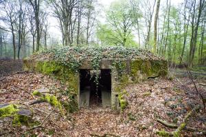 Ligne Maginot - BA31 - ROUTE DES LOGETTES - (Blockhaus pour canon) - 
