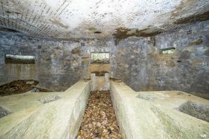 Ligne Maginot - BA31 - ROUTE DES LOGETTES - (Blockhaus pour canon) - 