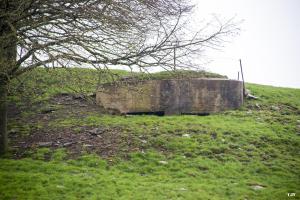 Ligne Maginot - BA36 - LA NEUVILLE EST - (Blockhaus pour canon) - 