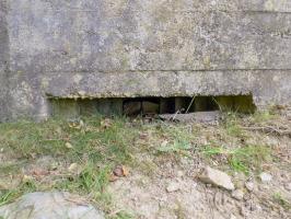 Ligne Maginot - BA36 - LA NEUVILLE EST - (Blockhaus pour canon) - 