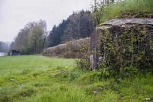 Ligne Maginot - BA40 - LE CHALET - (Blockhaus pour canon) - Ba40 avec l'A42 en arrière-plan