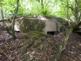 Ligne Maginot - BA41 - CAILLOT FONTAINE NORD - (Blockhaus pour canon) - 