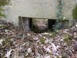 Ligne Maginot - BA41 - CAILLOT FONTAINE NORD - (Blockhaus pour canon) - 