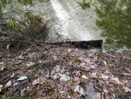 Ligne Maginot - BA41 - CAILLOT FONTAINE NORD - (Blockhaus pour canon) - 
