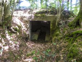 Ligne Maginot - BA41 - CAILLOT FONTAINE NORD - (Blockhaus pour canon) - 