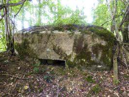 Ligne Maginot - BA41 - CAILLOT FONTAINE NORD - (Blockhaus pour canon) - 