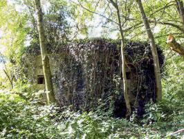 Ligne Maginot - BA44BIS - ETANG DE LA MOTTE - (Blockhaus pour canon) - 