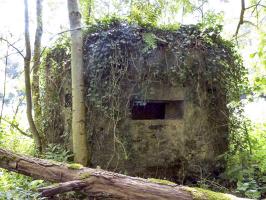 Ligne Maginot - BA44BIS - ETANG DE LA MOTTE - (Blockhaus pour canon) - 