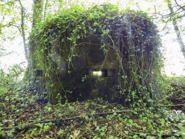 Ligne Maginot - BA45 - GRAND DOUAIRE OUEST - (Blockhaus pour arme infanterie) - 