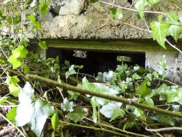 Ligne Maginot - BA45 - GRAND DOUAIRE OUEST - (Blockhaus pour arme infanterie) - 