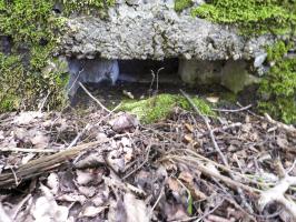 Ligne Maginot - BA46 - ETANG DE GLAND - (Blockhaus pour arme infanterie) - 