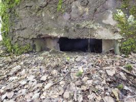 Ligne Maginot - BA46 - ETANG DE GLAND - (Blockhaus pour arme infanterie) - 