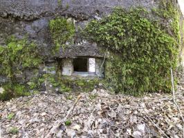 Ligne Maginot - BA46 - ETANG DE GLAND - (Blockhaus pour arme infanterie) - 