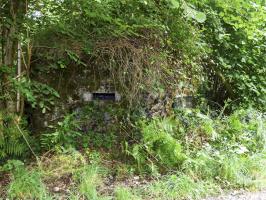 Ligne Maginot - BA51 - ALLÉE DES SANGLIERS - (Blockhaus pour arme infanterie) - 