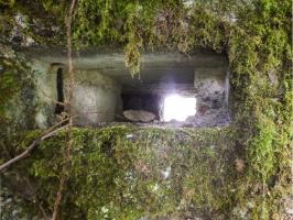 Ligne Maginot - BA51 - ALLÉE DES SANGLIERS - (Blockhaus pour arme infanterie) - 