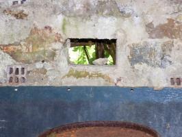 Ligne Maginot - BA51 - ALLÉE DES SANGLIERS - (Blockhaus pour arme infanterie) - 