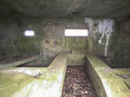 Ligne Maginot - BA62 - LA SONGIÈRE EST - (Blockhaus pour canon) - 