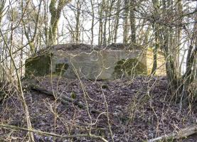 Ligne Maginot - BA61BIS - LE PRÉ FORGET SUD - (Blockhaus pour canon) - 