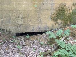 Ligne Maginot - BA61BIS - LE PRÉ FORGET SUD - (Blockhaus pour canon) - 